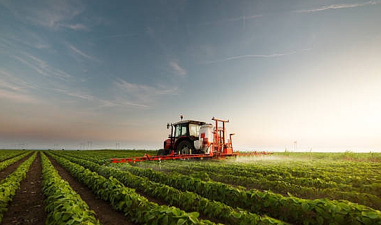 Mart 2024 Tarım ÜFE Verileri Açıklandı