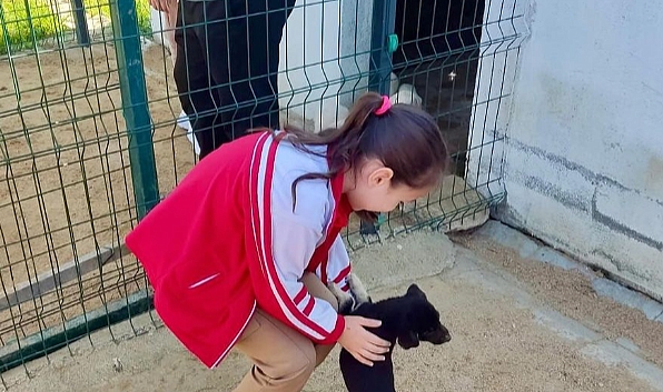 Miniklerden Sahipsiz Hayvanlara Ziyaret