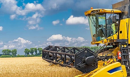 Tarım-GFE Yıllık %49,93 Arttı