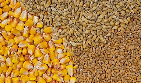 Tarım Ürünleri Fiyatlarındaki Son Durum