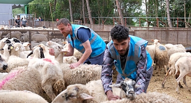 TDV'den "İlk Kurbanım İlk İyiliğim" kampanyası