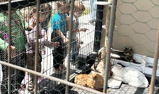 Tekirdağ Büyükşehir Belediyesi Miniklere Hayvan Sevgisini Aşılıyor