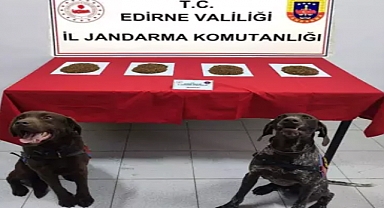 Edirne’de durdurulan araçta 300 gram bonzai ele geçirildi