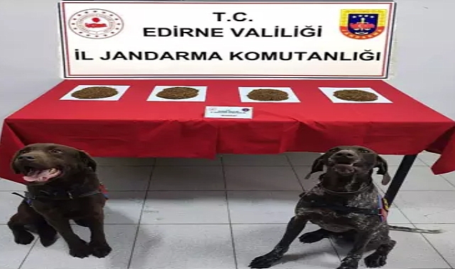 Edirne’de durdurulan araçta 300 gram bonzai ele geçirildi
