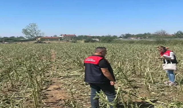 Kırklareli'de dolunun zarar verdiği tarlalarda hasar tespit çalışması başlatıldı