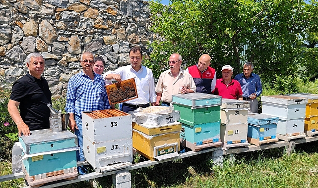 Kırklareli'nde Ana Arı Yetiştiriciliği Projesi