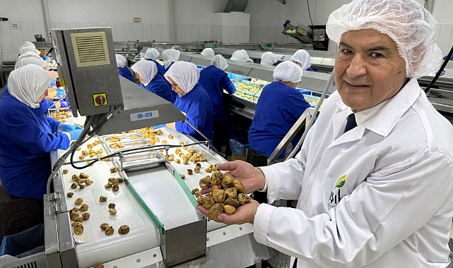 Kuru meyve sektöründe ihracat şampiyonlarının ilk 11’inin 10’u Egeli