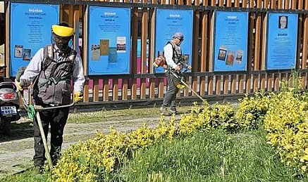 Kent Genelinde Ot Biçme Çalışmalarını Sürdürüyor