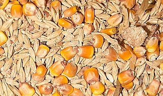 TÜRİB Haftalık Ürün Piyasası