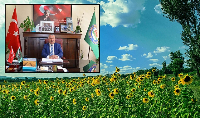 AYÇİÇEĞİ ÜRETİMİ: GELECEKTE GIDA GÜVENLİĞİMİZİN TEMİNATI