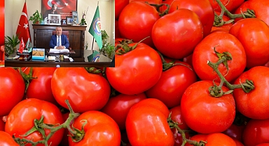 DOMATES ÜRETİMİ VURGULANDI