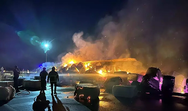 EDİRNE'DE PAMUK YÜKLÜ TIR ALEV ALEV YANDI