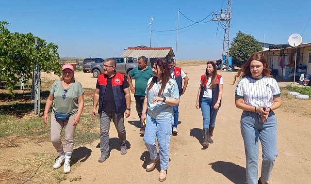 KAYMAKAM BALLI ÇİFTÇİLERİN YANINDA: BUĞDAY HASADINDA
