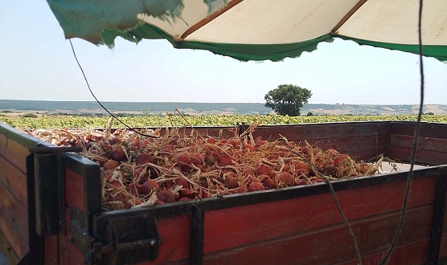 ÇİFTÇİNİN GÜNEŞLE MÜCADELESİ
