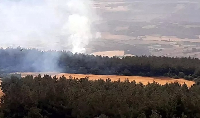 Yıldırım düşmesi ile çıkan orman yangını söndürüldü