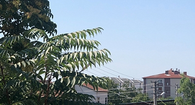 17 Ağustos 2024 Babaeski Hava Durumu: Sıcak Havalara Hazırlıklı Olun