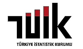 TÜİK Raporu: Yükseköğretim Mezunu Annelerin Çocuklarına Eğitim Etkisi Büyük