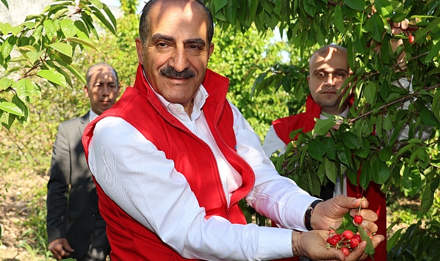 Kiraz ihracatı 209 milyon dolara ulaştı