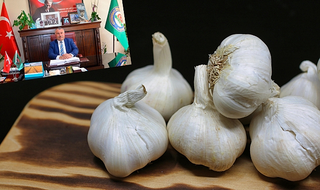 Sarımsak Üretiminin Önemi Üzerine Açıklama