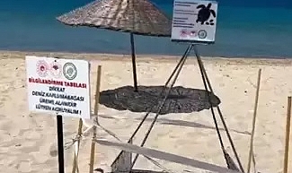 Saros'ta caretta caretta yuvası, korumaya alındı