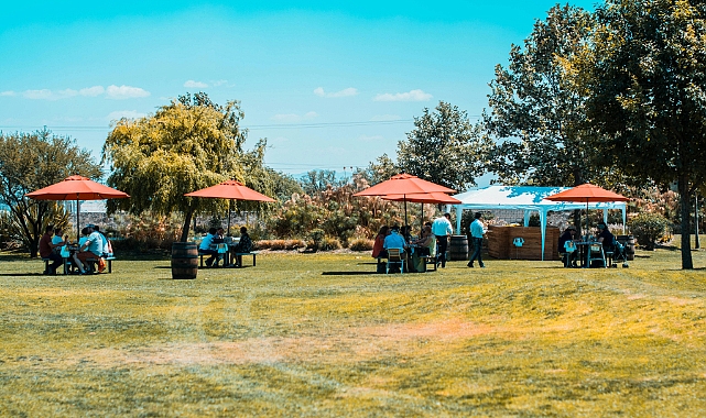 Yaz Mevsiminde Piknik Keyfi: Doğada Huzurlu Bir Gün Geçirmek İçin İpuçları