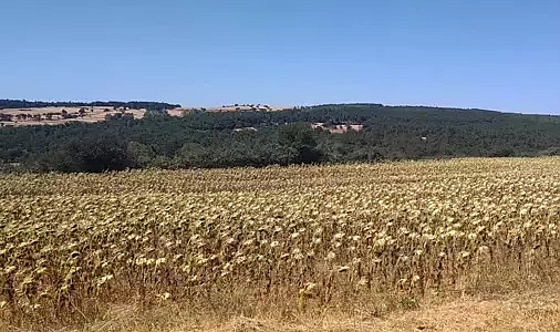 Edirne’de RES projesinin ÇED süreci sonlandırıldı
