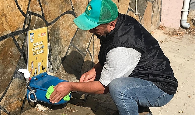 Babaeski'de Sokak Hayvanları İçin Önemli Adım: Mamamatik ve Sumatik Bakımı