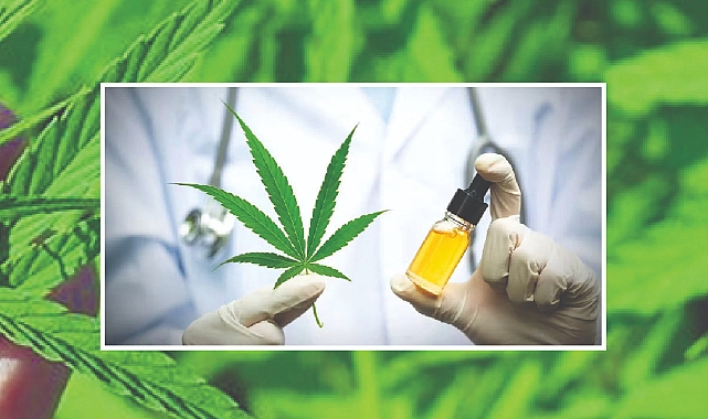 Başvurular 31 Ekim’de Sona Erecek!
