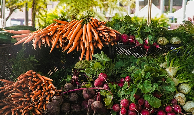 Ekim Ayında Hangi Sebzeler Ekilir ve Dikilir?