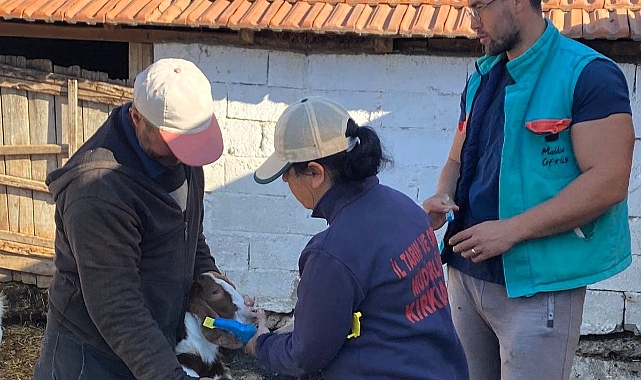 Küpeleme ve Aşılama Çalışmaları Başladı