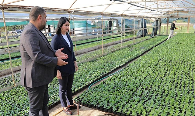 PARKLAR ÇİÇEK AÇACAK