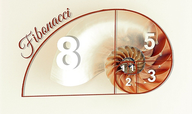 Dünya Fibonacci Günü Nedir? İşte Tüm Detaylar