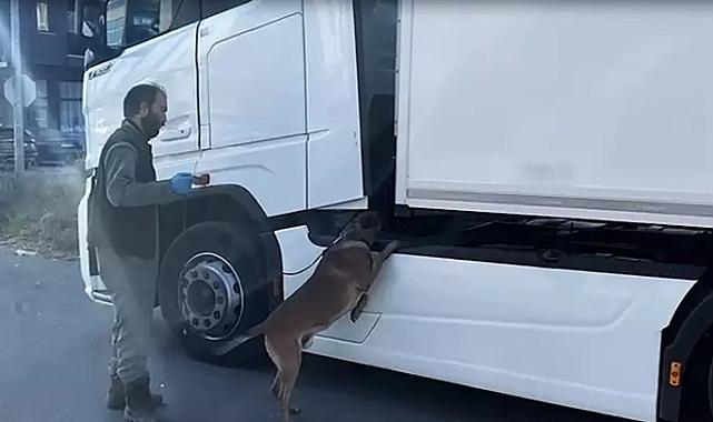 Edirne'de, park halindeki TIR'da 24 kilo kokain ele geçirildi