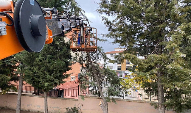 Lüleburgaz Belediyesi, Kent Genelinde Budama ve Ot Temizliği Çalışmalarını Sürdürüyor