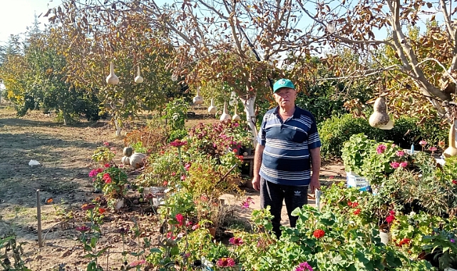Lüleburgaz'da Balkabağı Hasadı Başladı