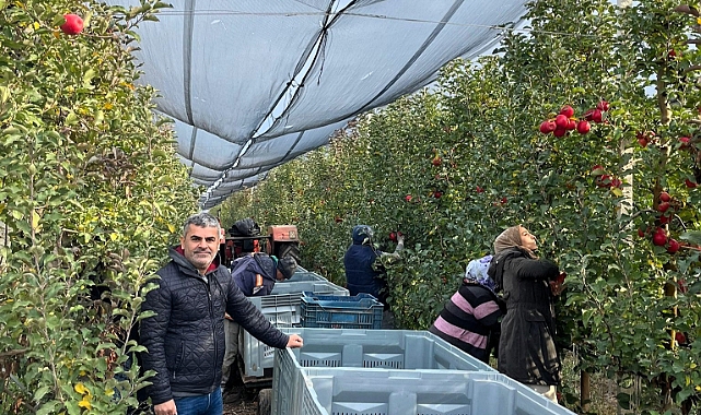 Lüleburgaz’da Meyve Hasadı Başladı: İl Tarım ve Orman Müdürlüğü’nden Teknik Bilgilendirme