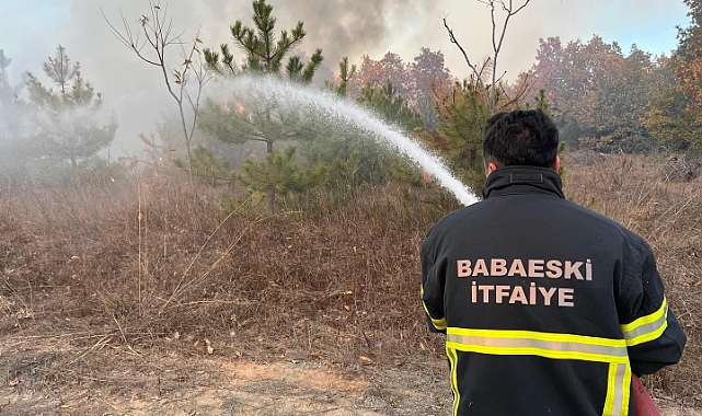 Orman Yangınına İtfaiye Ekipleri Hızla Müdahale Etti