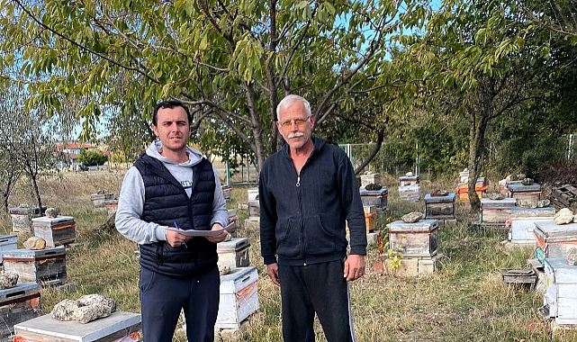 Pınarhisar'da Arılı Kovan Tespitleri Başladı