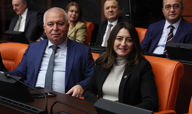 CHP'li Fahri Özkan Hayır Oyu Verdi