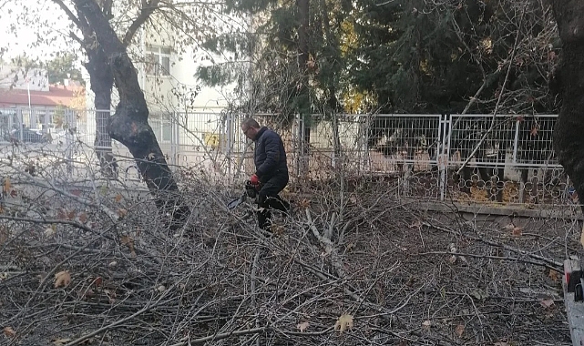 Kırklareli Belediyesi’nden İstiklal Caddesi’nde Ağaç Budama Çalışması