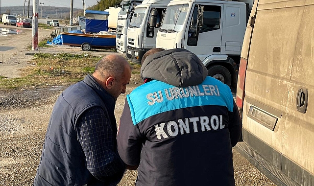 Kırklareli'nde Hamsi Avı ve Diğer Balık Türleri İçin Kota Denetimleri