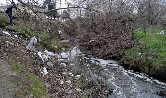 Saranlı Deresi'nde balık ölümlerine inceleme