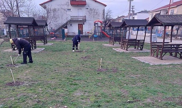 Alpullu Belediyesi, Parklara Fidan Dikimi Çalışmalarına Devam Ediyor