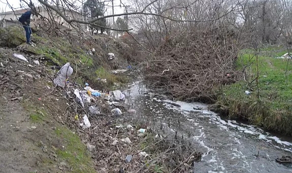 Balıkların öldüğü Saranlı Deresi'nde kimyasal maddeye rastlanmadı