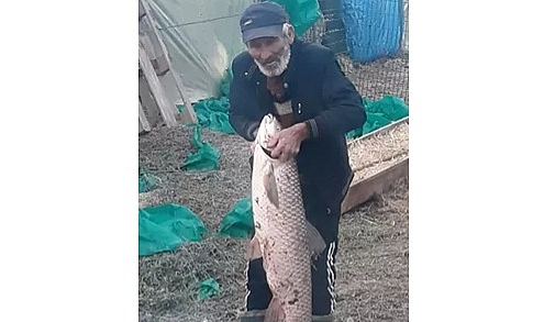 Edirne'de 13 kilo ağırlığında sazan balığı yakalandı