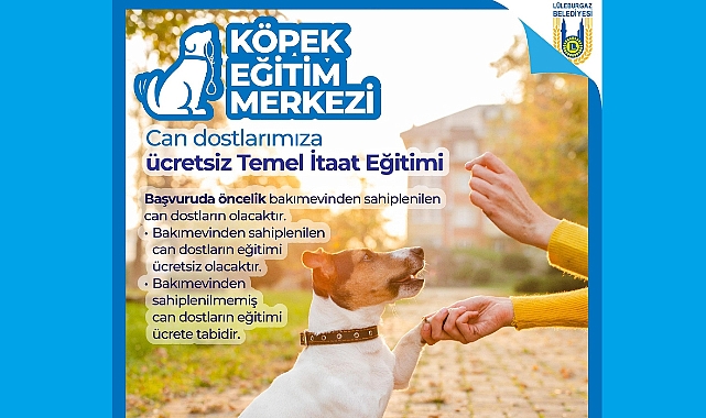 Lüleburgaz Belediyesi, Can Dostlarımız İçin Ücretsiz Eğitim Veriyor
