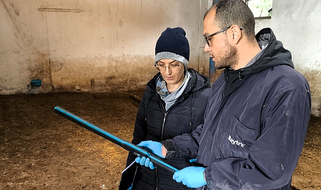 Lüleburgaz'da Büyükbaş Hayvan Aşılama ve Numune Alım Çalışmaları Başladı