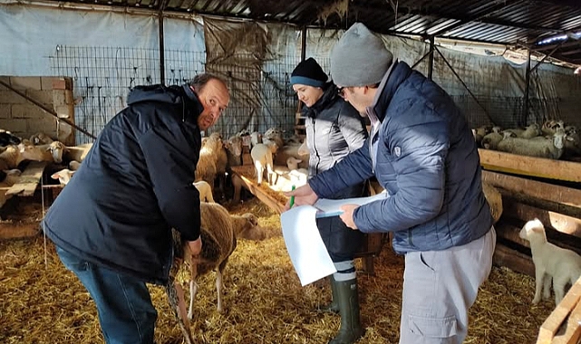 Lüleburgaz'da Hayvan İşletmeleri Denetimleri Başladı