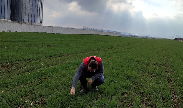 Pınarhisar’da Ari İşletme Çalışmaları ve Hayvan Sağlığı Denetimleri