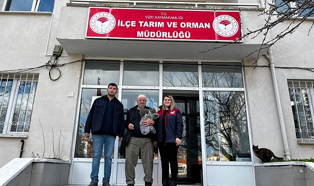 Vize’de Arı Üreticilerine Lavanta Fidesi Dağıtıldı